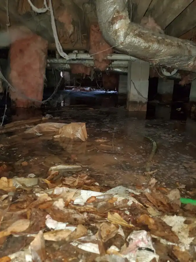 Crawl space flood assessment for Leak Detection & Repair in Mendham